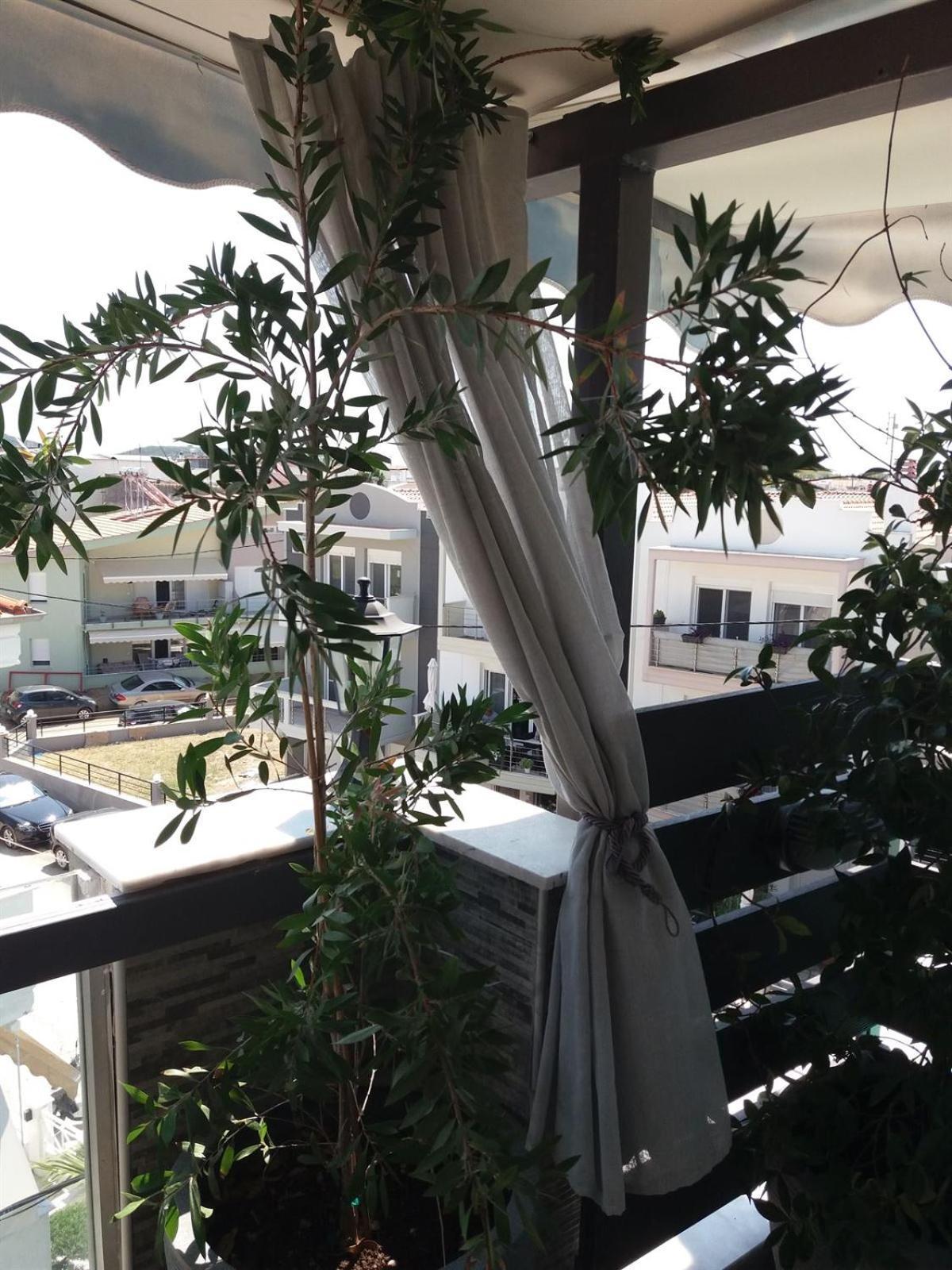 Green House เนอาเปรามอส ภายนอก รูปภาพ